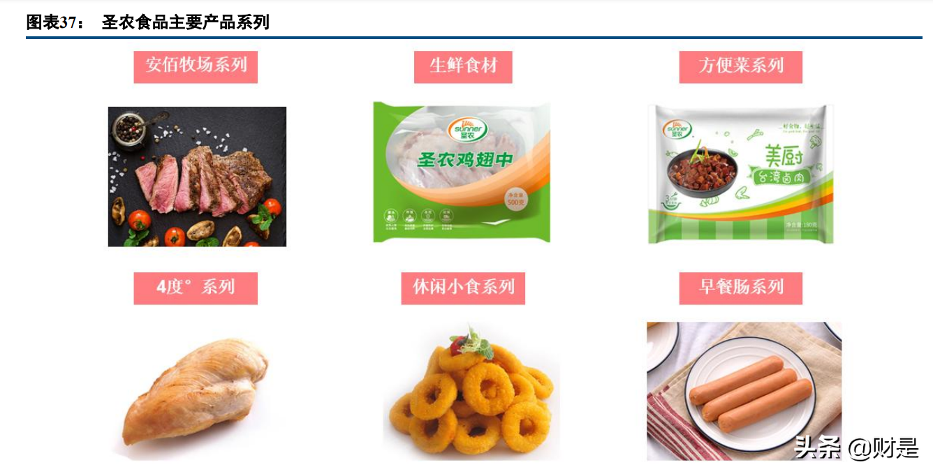 圣农发展专题报告:平滑养殖周期影响,食品业务打造增长新引擎 - 报告