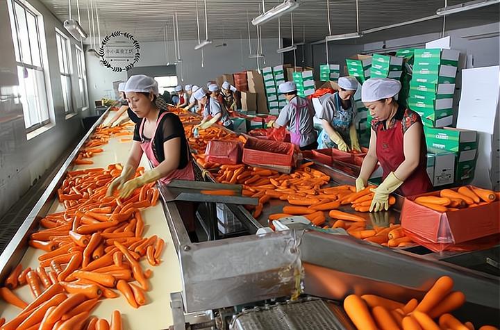 绿色食品深加工工厂投资多少钱？以下信息要了解！